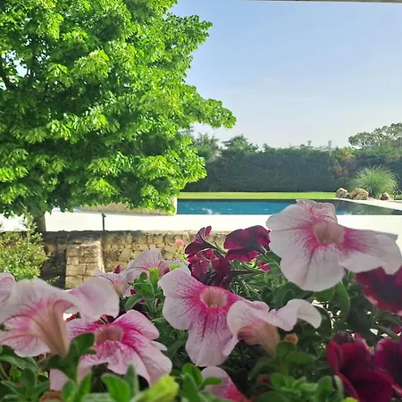 Dei Tigli - * Altamura