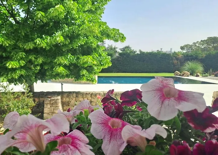 Dei Tigli - * Altamura